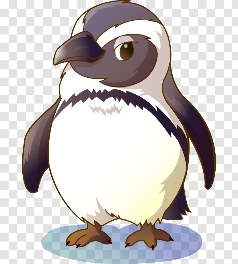 Penguin Bird Cartoon Illustration - Animation - Vector Painted Transparent PNG