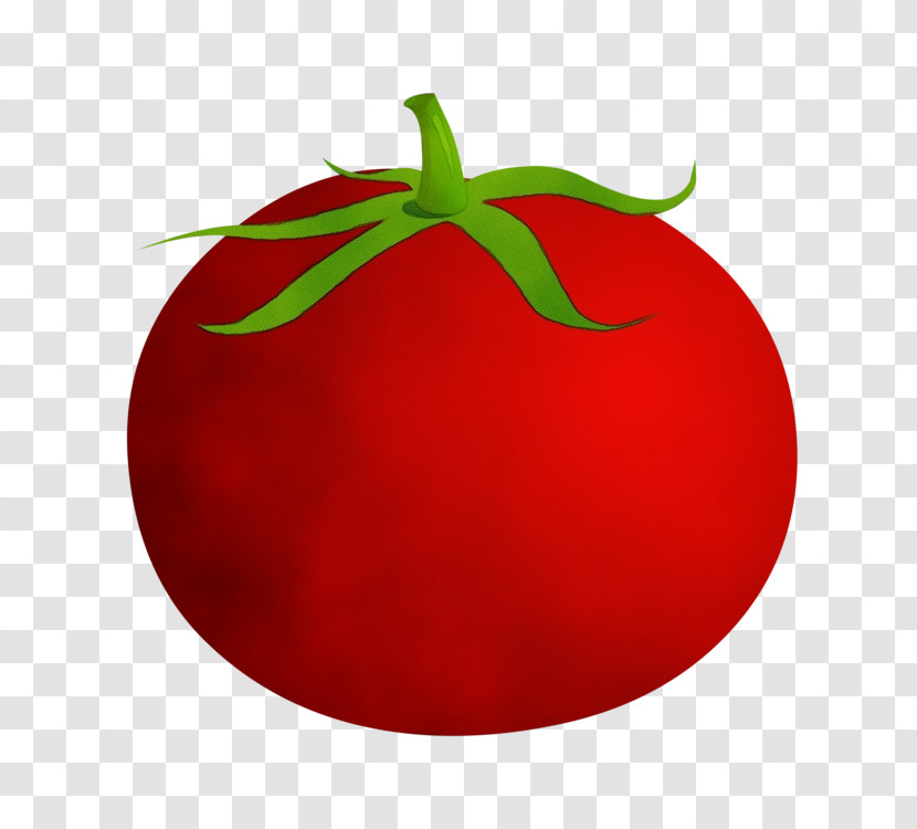 Tomato Transparent PNG