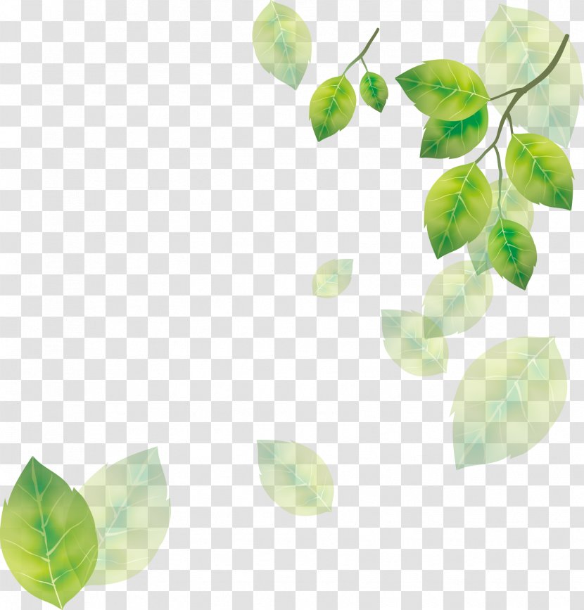 Leaf Tree - Leaves Transparent PNG
