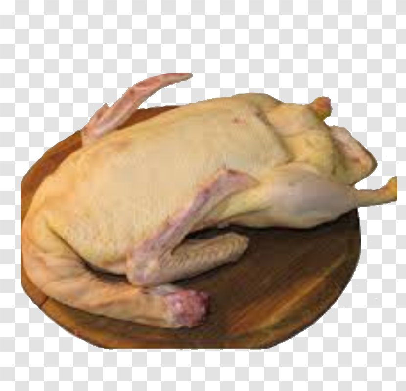 Domestic Duck Turkey Meat Bird Chicken Transparent PNG