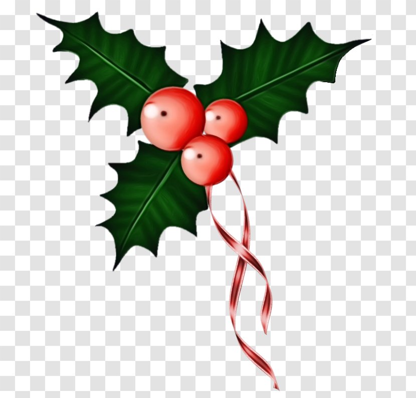 Holly - Branch - Fruit Transparent PNG