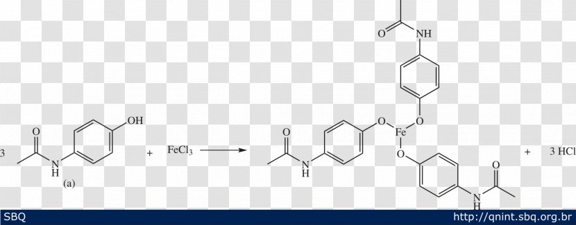 Acetaminophen Phenols Metabolism Enzyme Acid - Excretion - Paracetamol Transparent PNG