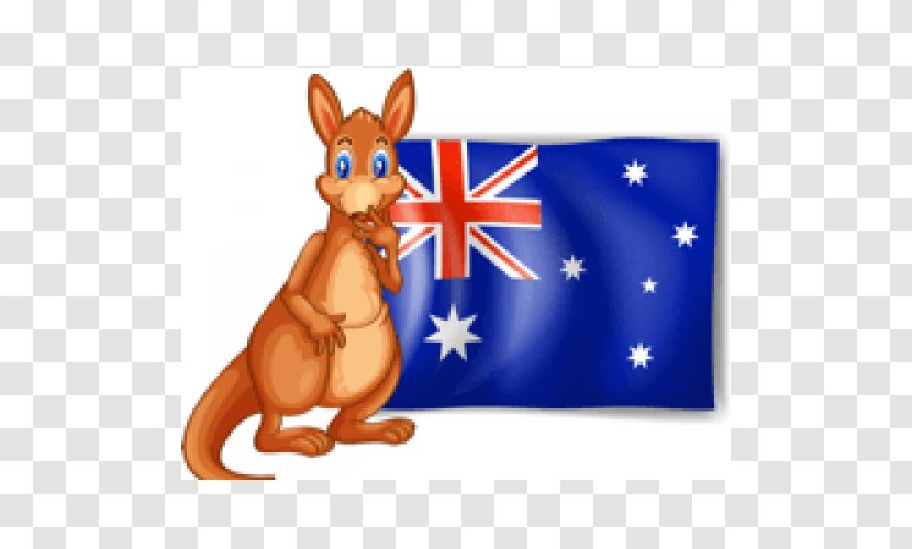 Australia Red Kangaroo Macropodidae Transparent PNG