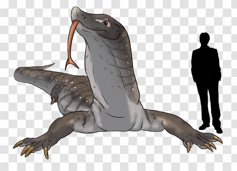 Speculative Evolution Reptile Skull Drawing Armadillo - Animal Transparent PNG