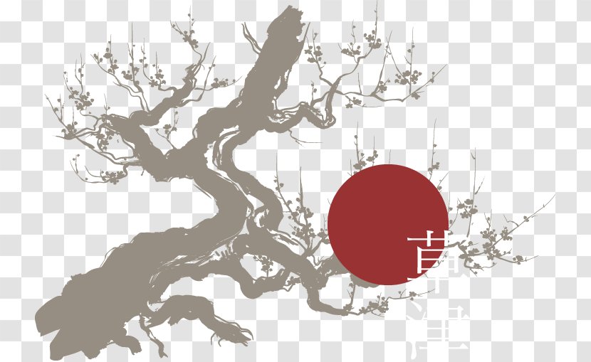 Kusatsu Onsen Yubatake Hot Spring - Japan - Branch Transparent PNG