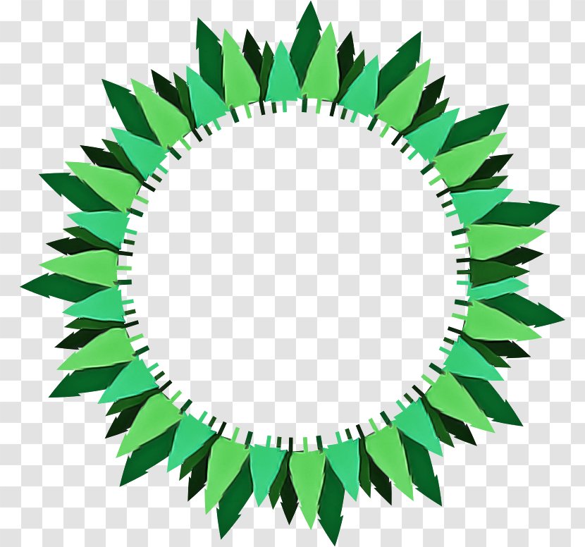 Holly - Leaf - Plant Transparent PNG