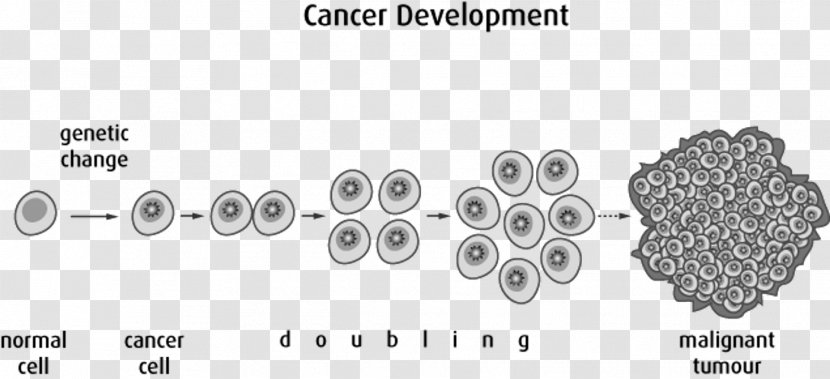 Cancer Cell Neoplasm Treatment Of Disease - Auto Part - Transparent Transparent PNG