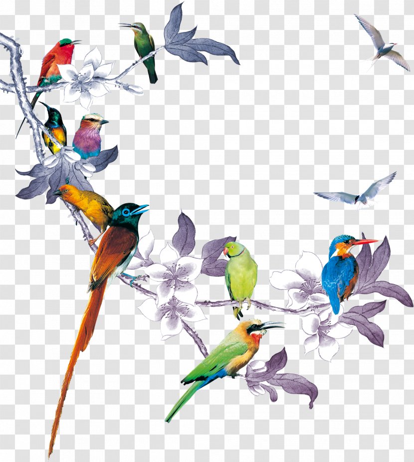 Bird Wedding Invitation Paper Poster - Macaw - Flower,Flowers,flowers,Birds Transparent PNG