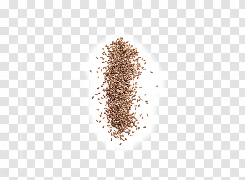 Commodity - Seeds Transparent PNG