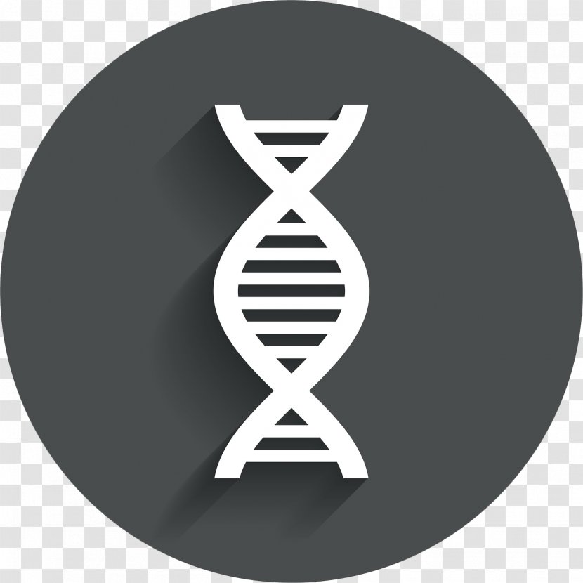DNA Polymerase Profiling - Genetic Code Transparent PNG