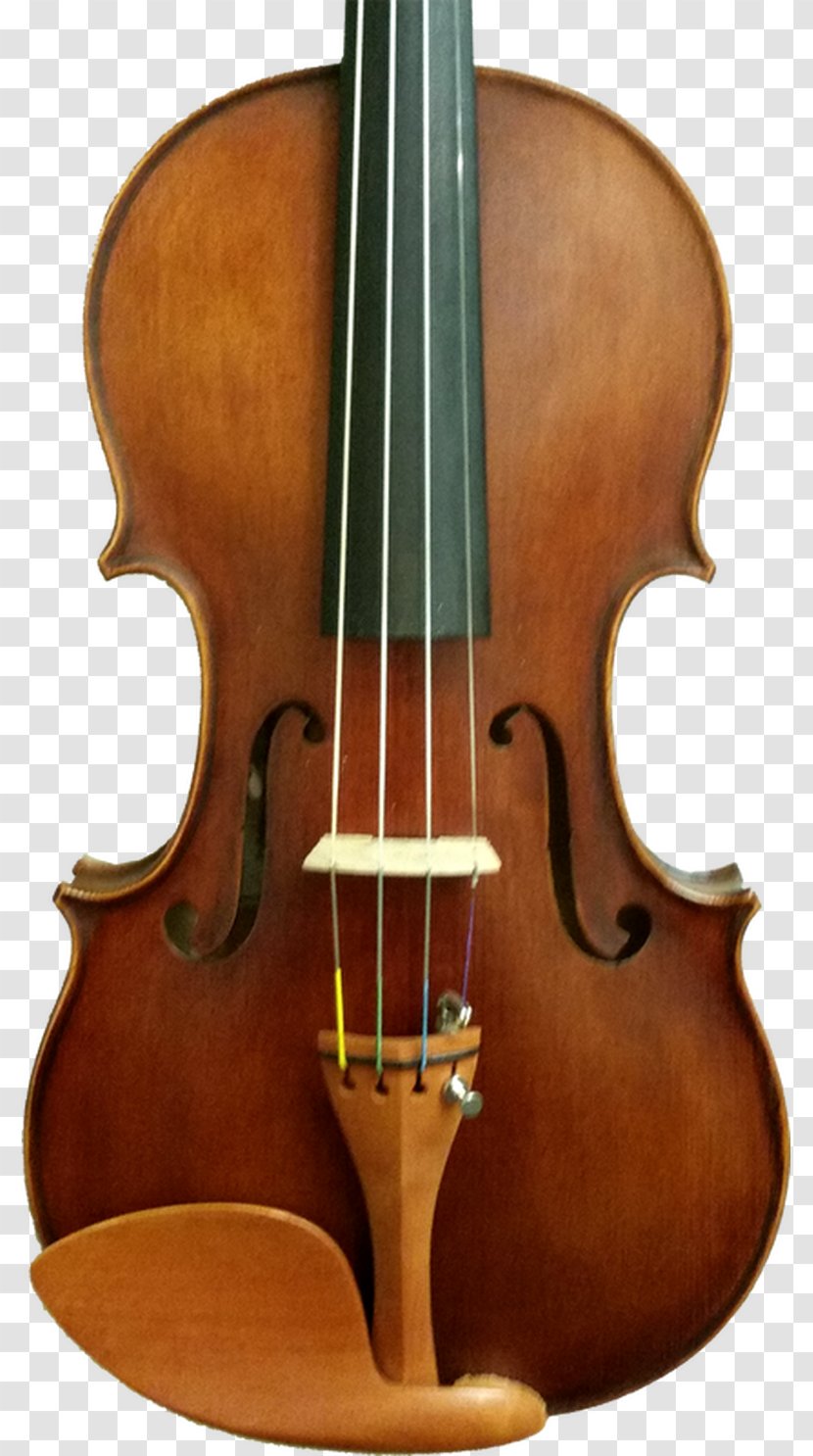 Bass Violin Double Violone Viola - Cello - Cartoon Transparent PNG