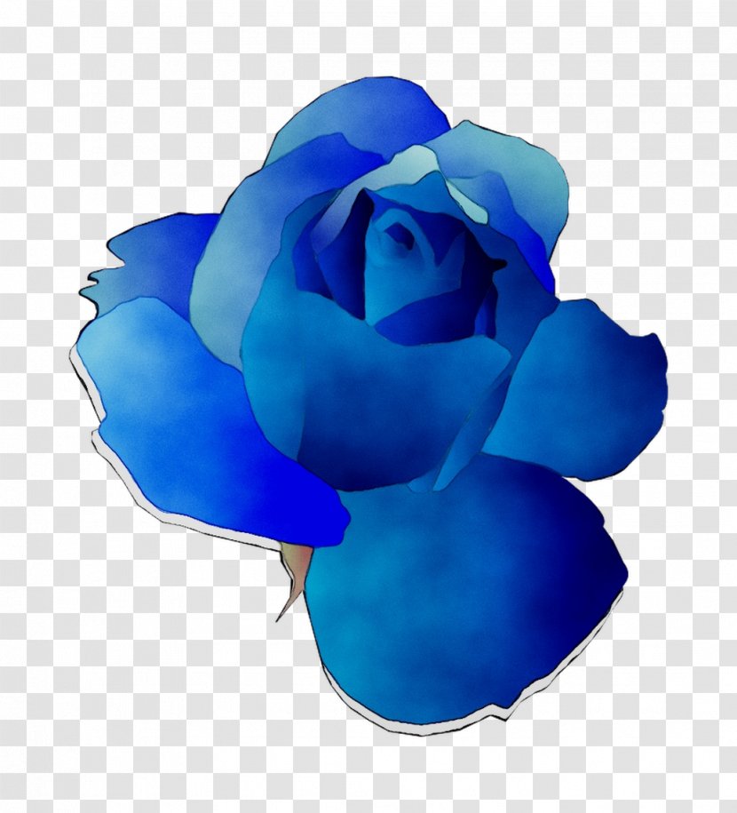 Blue Rose Garden Roses Cut Flowers - Family Transparent PNG