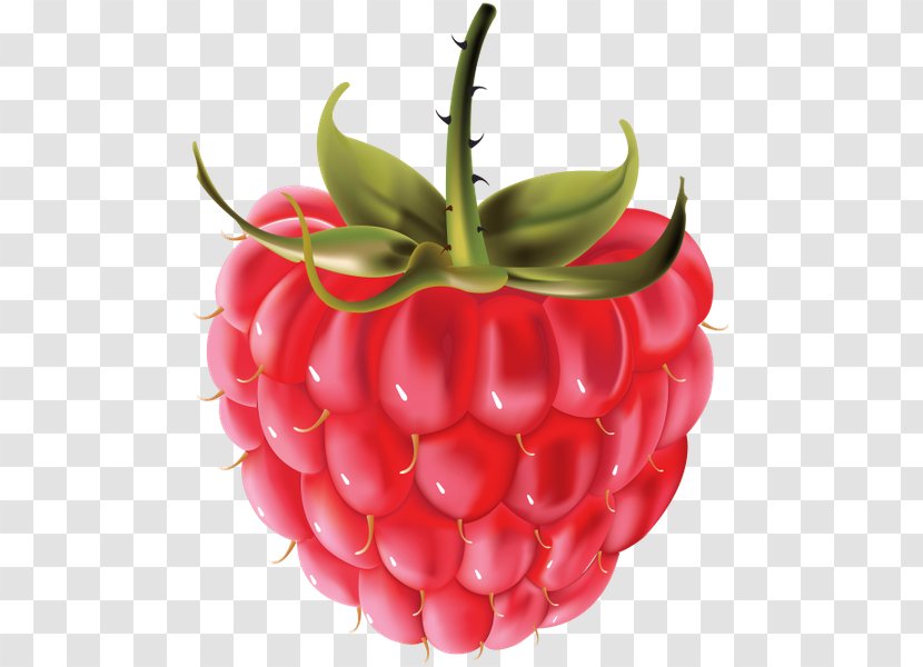 Raspberry Clip Art - Berry - Frutti Di Bosco Transparent PNG