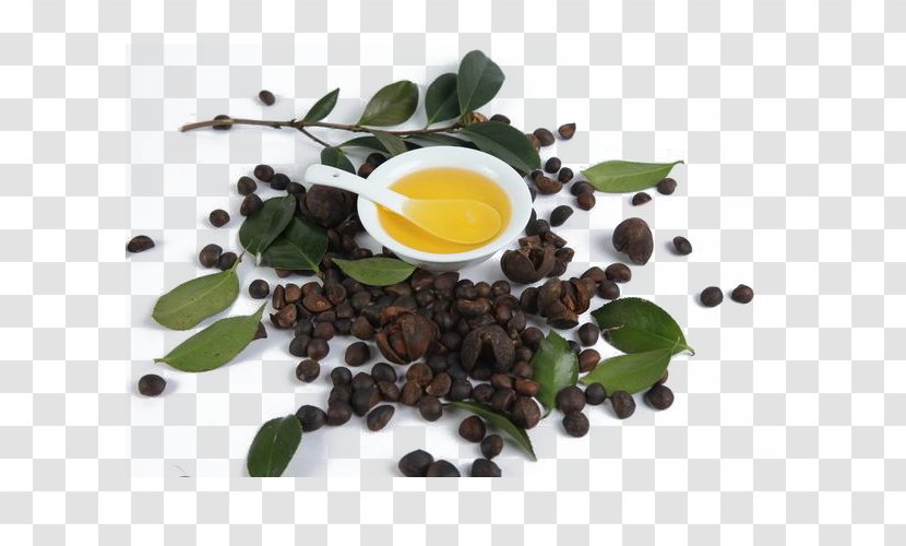Tea Seed Oil Corn Peanut - Green - Healthy Camellia Transparent PNG