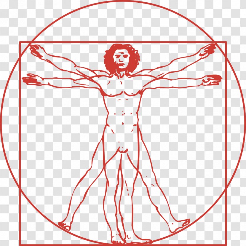 Vitruvian Man Royalty-free - Frame - Heart Transparent PNG