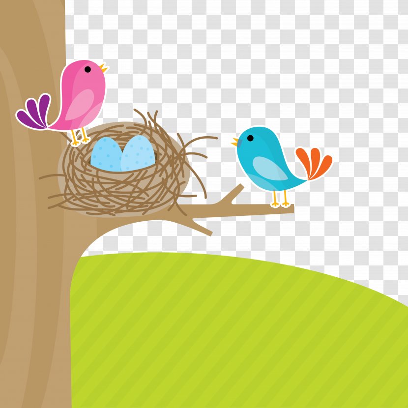Bird Euclidean Vector Illustration - National Primary School - House Transparent PNG