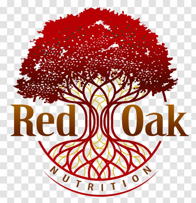 Logo Northern Red Oak Tree Root - Symbol Transparent PNG