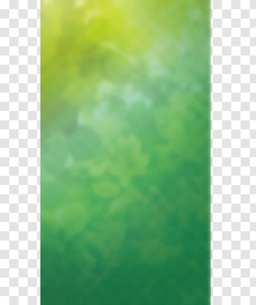 Green Download Wallpaper - Rainbow - Cartoon Background Transparent PNG