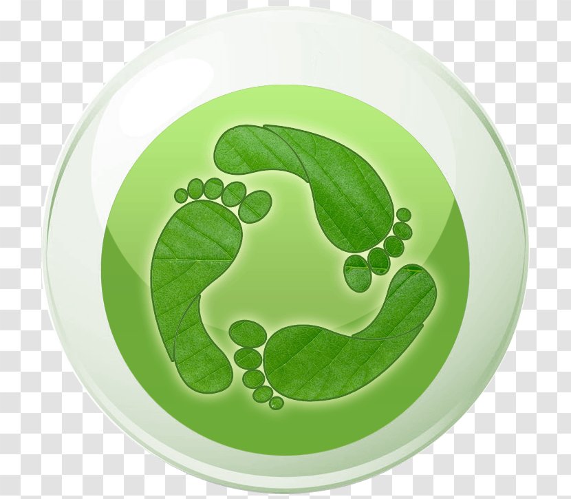 Symbol Leaf - Carbon Footprint Transparent PNG