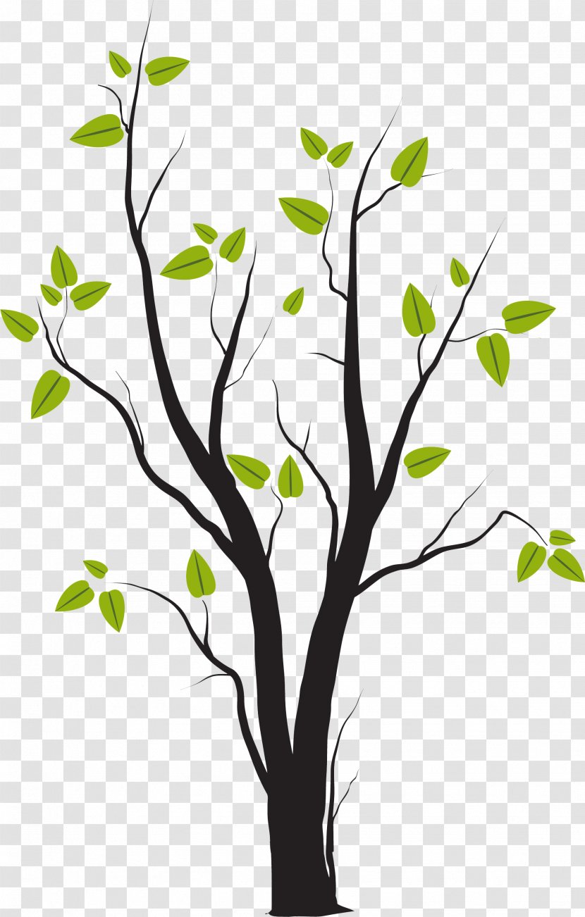 Tree Clip Art - Flora - Spring Transparent PNG