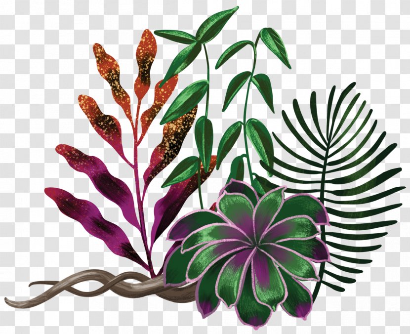 Botanical Illustration Art Floral Design Ayahuasca - Plants - Enlightenment Transparent PNG