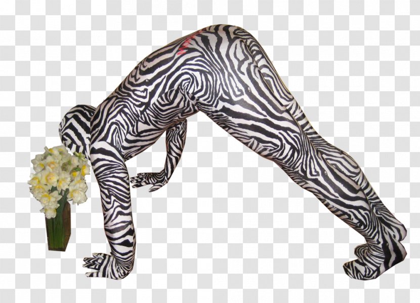 Zebra Morphsuits Costume Leopard Animal Print - Terrestrial Transparent PNG