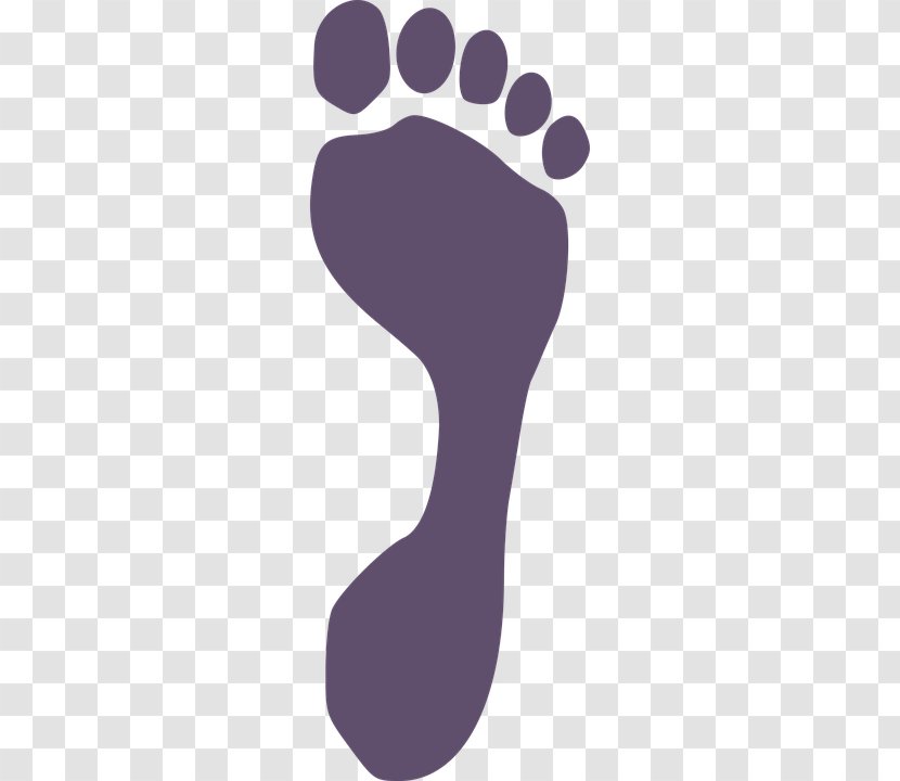 Footprint - Violet - Body Transparent PNG