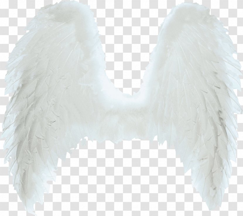 Wing Ala Clip Art - Neck - Angel Transparent PNG