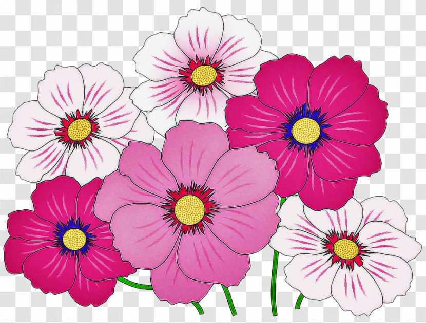Flower Pink Plant Petal Flowering - Daisy Family Magenta Transparent PNG