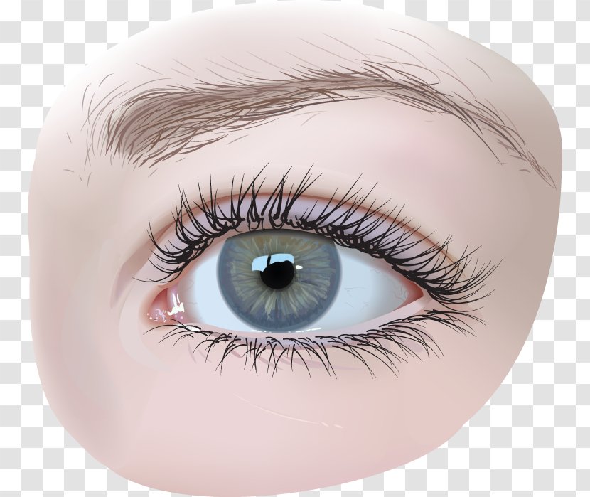 Eye Euclidean Vector Drawing - Watercolor Transparent PNG