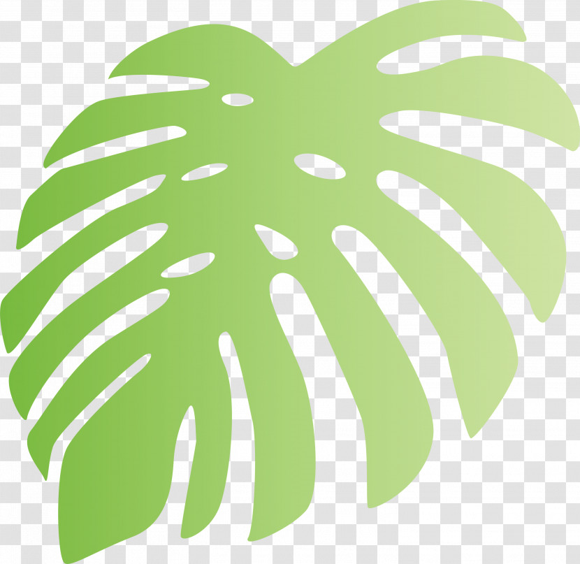 Monstera Tropical Leaf Transparent PNG