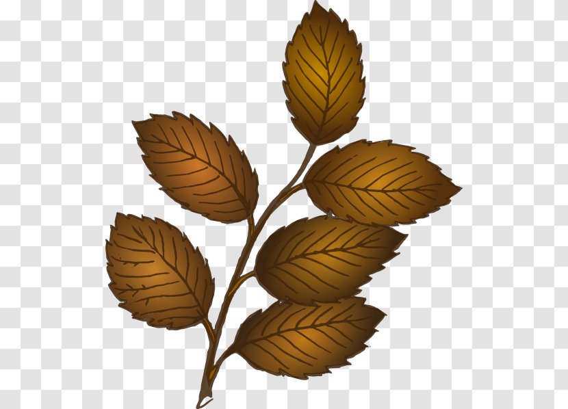 Branch Leaf Clip Art - Tree - Fall Transparent PNG