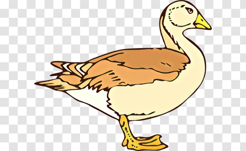 Duck Goose Clip Art Fowl Fauna Transparent PNG