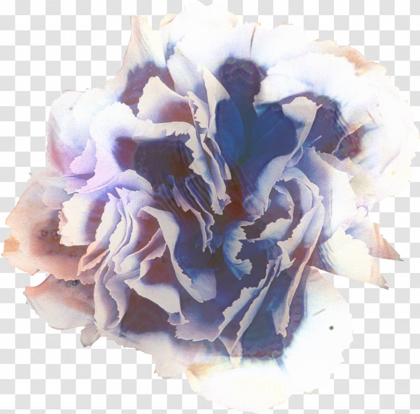 Cut Flowers Flower Bouquet Floral Design Petal - Watercolor Paint Transparent PNG