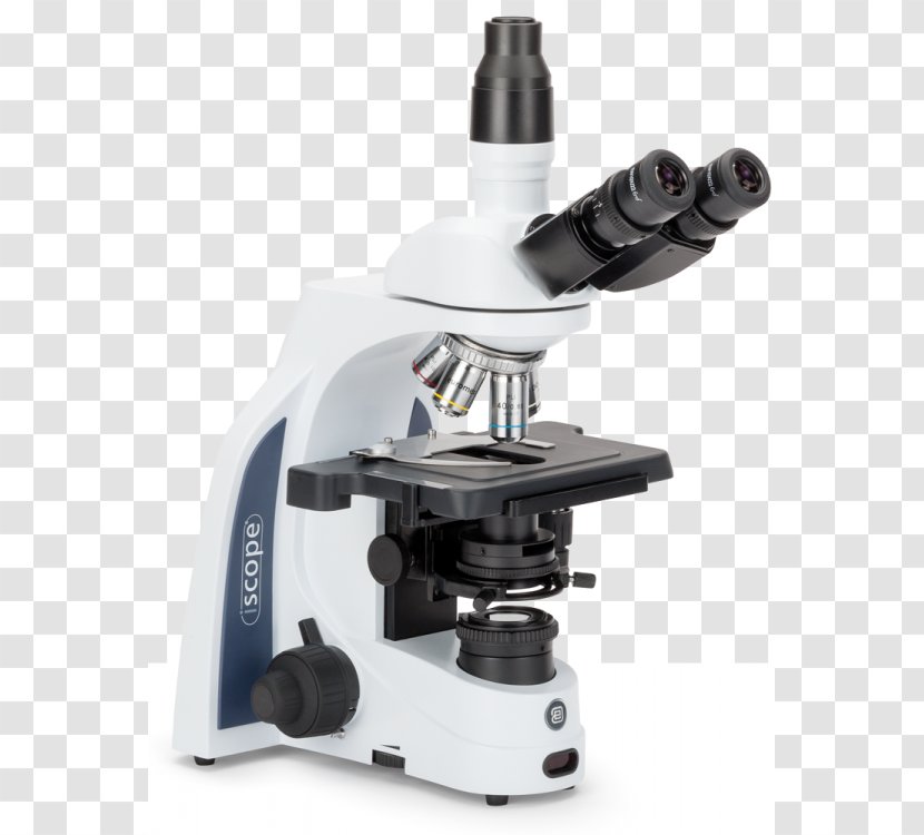 Optical Microscope Digital Petrographic Science - Biology Transparent PNG