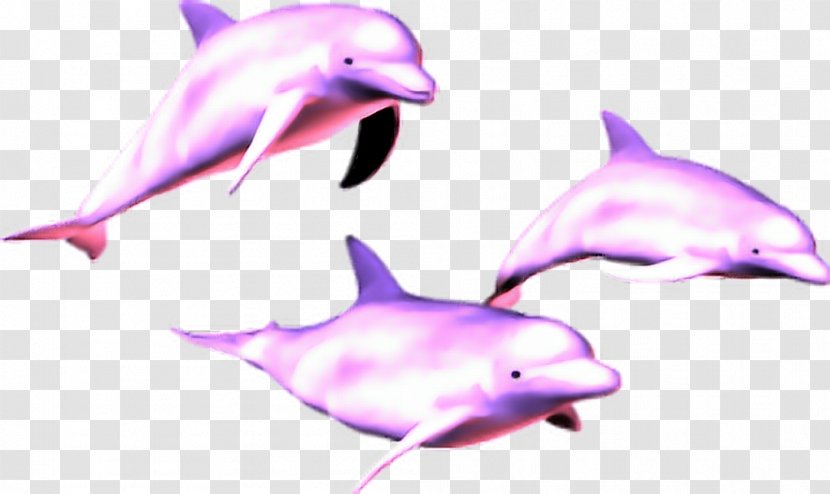 Vaporwave Dolphin Image Clip Art - Whales Dolphins And Porpoises Transparent PNG