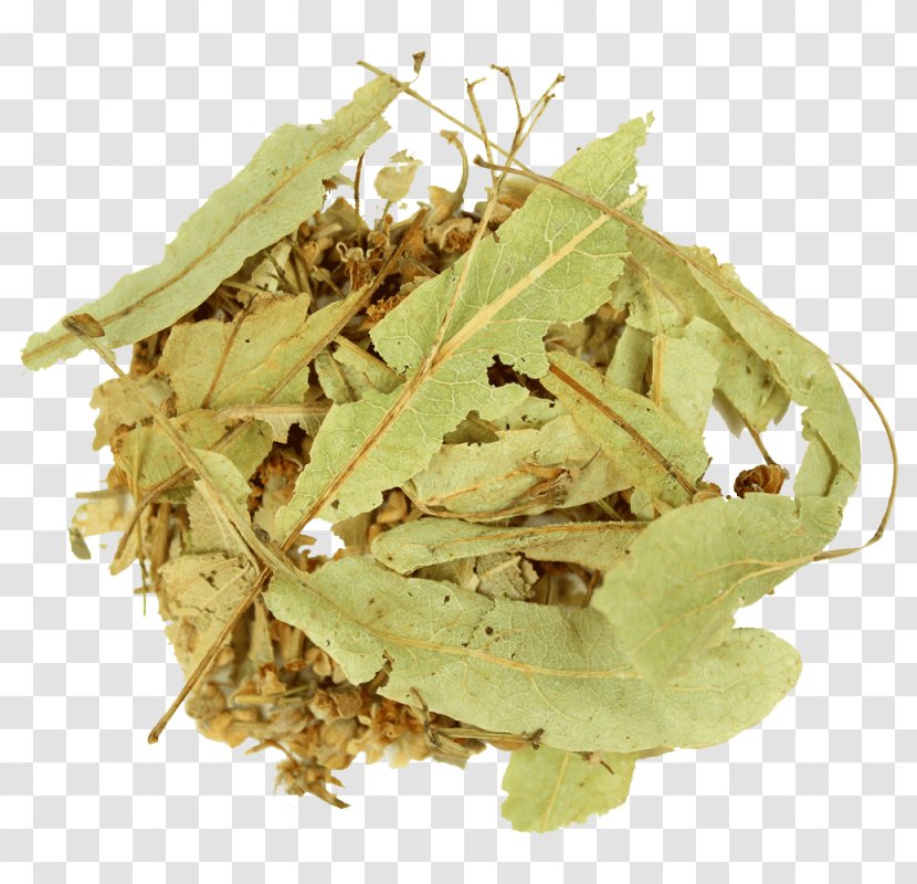 Herbal Tea Tilia Tomentosa Lemongrass - Geranium Robertianum Transparent PNG