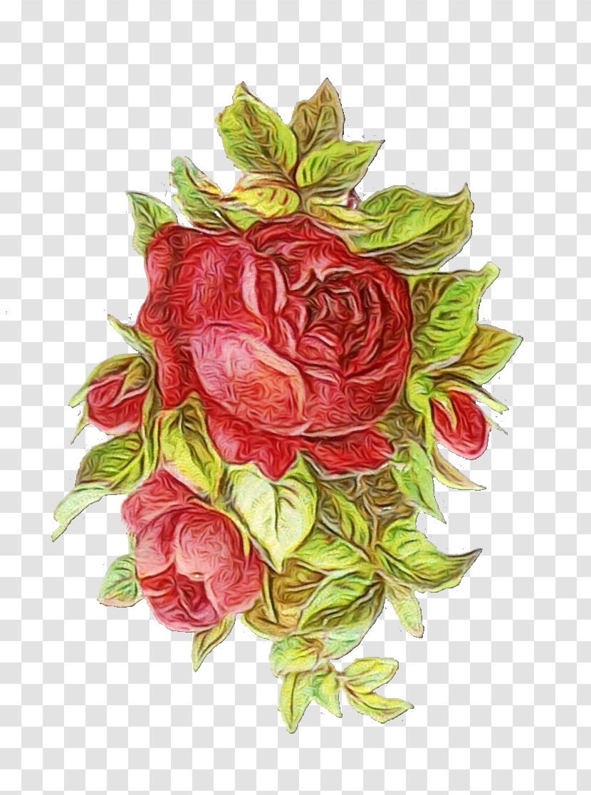 Watercolor Pink Flowers - Anthurium - Bud Camellia Transparent PNG