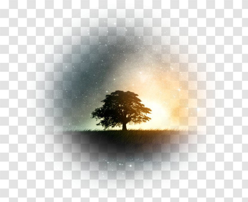 Fantasy Tree Illustration - Atmosphere - Samsung Galaxy Transparent PNG