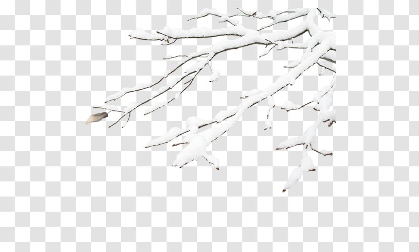 Winter Black And White Snow - Area - Branches Transparent PNG