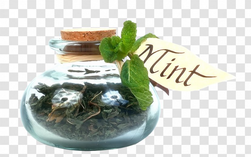 Condiment Herb Spice Mint Seasoning - Herbaceous Plant - Glass Bottle Transparent PNG