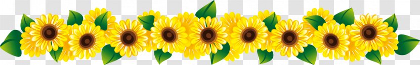 Common Sunflower Stock Photography - Plant Stem - Header Separator Line Transparent PNG