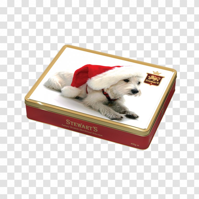 Puppy West Highland White Terrier Christmas And Holiday Season United States - Evening Transparent PNG