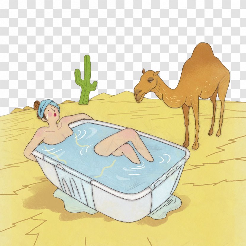 Dromedary Illustration - Livestock - Camels Look At People To Take A Bath Transparent PNG