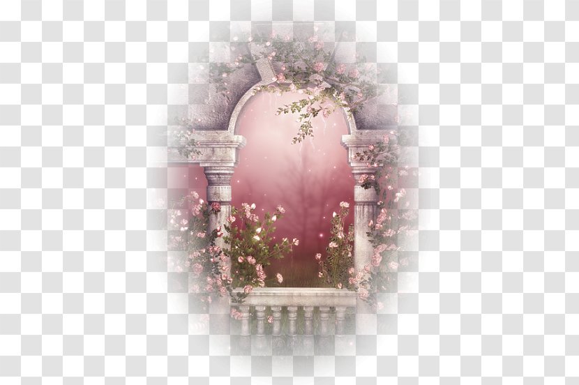 Edward Cullen Desktop Wallpaper Photography Bella Swan - Romance Film - Animation Transparent PNG