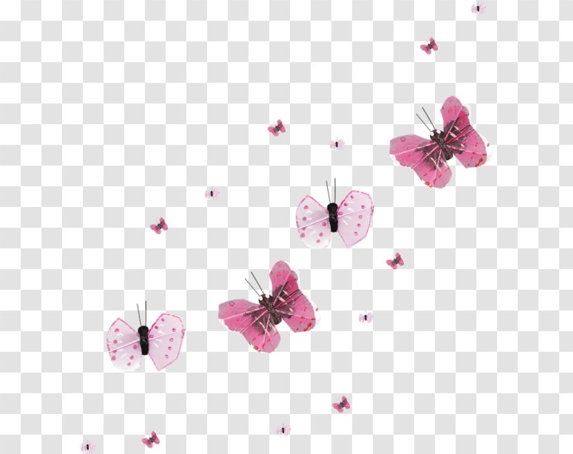 Butterfly ST.AU.150 MIN.V.UNC.NR AD Desktop Wallpaper - Blossom - Blood On The Dance Floor Transparent PNG