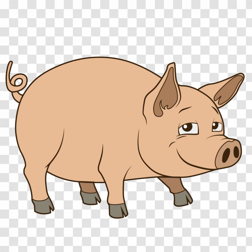 Pig Drawing Royalty-free Illustration - Snout - Cute Transparent PNG
