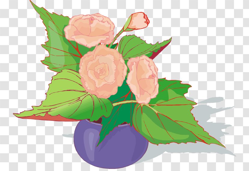Pink Flower Cartoon - Plant - Perennial Rose Family Transparent PNG