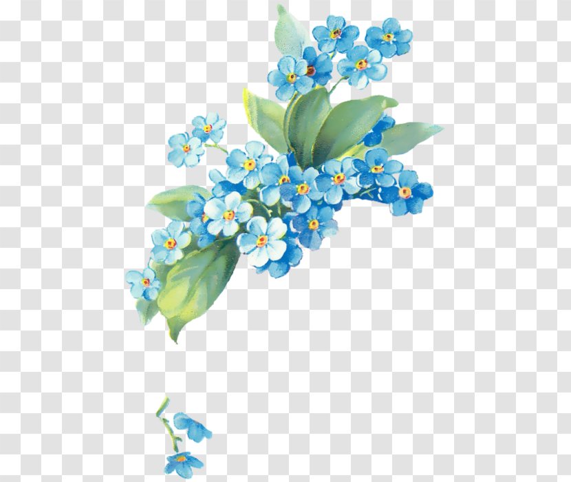 Flower Floral Design Google Images - Forget Me Not Transparent PNG