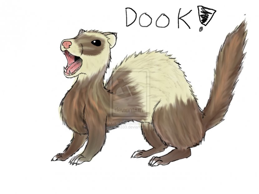 Black-footed Ferret Mustelinae DeviantArt Drawing - Mustelidae Transparent PNG